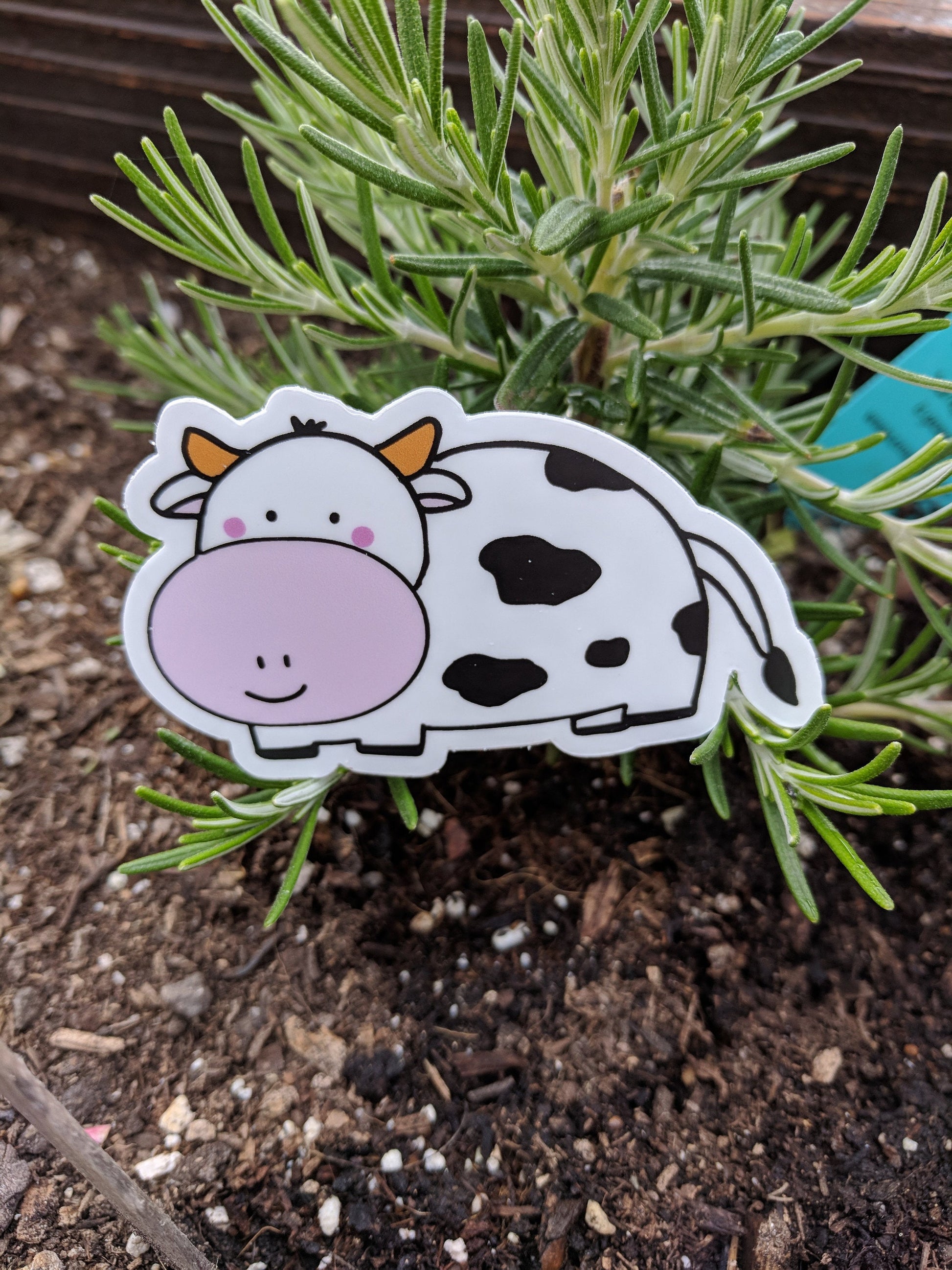 Cow Vinyl Sticker